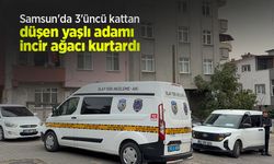 Samsun'da 3'üncü kattan düşen yaşlı adamı incir ağacı kurtardı