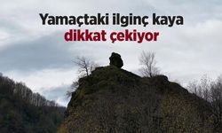 Yamaçtaki ilginç kaya dikkat çekiyor