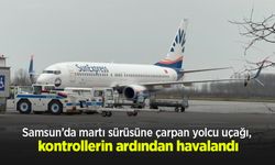 Samsun’da martı sürüsüne çarpan yolcu uçağı, kontrollerin ardından havalandı