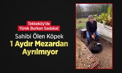 Tekkeköy’de Yürek Burkan Sadakat: Sahibi Ölen Köpek 1 Aydır Mezardan Ayrılmıyor