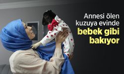 Annesi ölen kuzuya evinde bebek gibi bakıyor
