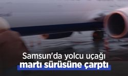Samsun'da yolcu uçağı martı sürüsüne çarptı