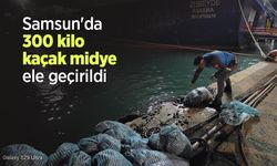 Samsun'da 300 kilo kaçak midye ele geçirildi