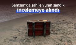 Samsun'da sahile vuran sandık incelemeye alındı