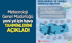 Meteoroloji Genel Müdürlüğü yeni yıl için hava tahminlerini açıkladı
