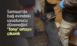 Samsun'da bağ evindeki uyuşturucu düzeneğini 'Tony' ortaya çıkardı