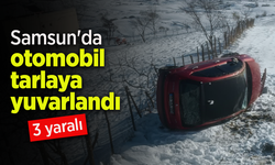 Samsun'da otomobil tarlaya yuvarlandı: 3 yaralı