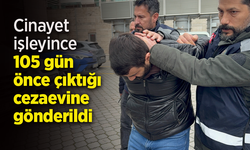 Cinayet işleyince 105 gün önce çıktığı cezaevine gönderildi