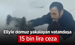 Eliyle domuz yakalayan vatandaşa 15 bin lira ceza