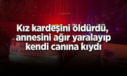 Kız kardeşini öldürdü, annesini ağır yaralayıp kendi canına kıydı