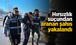 Hırsızlık suçundan aranan şahıs yakalandı