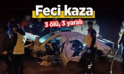 Feci kaza: 3 ölü, 3 yaralı