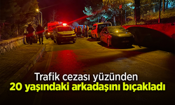 Trafik cezası yüzünden 20 yaşındaki arkadaşını bıçakladı