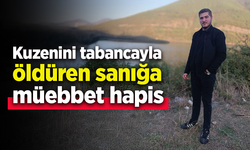 Kuzenini tabancayla öldüren sanığa müebbet hapis