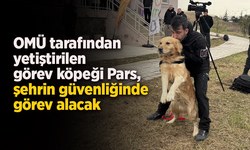 OMÜ tarafından yetiştirilen görev köpeği Pars, şehrin güvenliğinde görev alacak