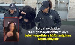 Sosyal medyadan "Beni yakalayamazsınız" diye bekçi ve polislere küfür yağdıran kadın adliyede