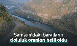 Samsun'daki barajların doluluk oranları belli oldu