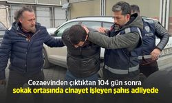 Cezaevinden çıktıktan 104 gün sonra sokak ortasında cinayet işleyen şahıs adliyede