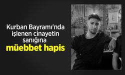 Kurban Bayramı'nda işlenen cinayetin sanığına müebbet hapis