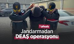 Jandarmadan DEAŞ operasyonu: 1 gözaltı