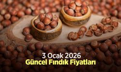 3 Ocak 2026 Güncel Fındık Fiyatları