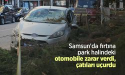 Samsun'da fırtına park halindeki otomobile zarar verdi, çatıları uçurdu
