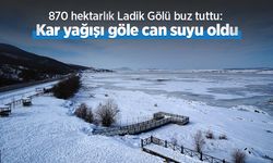 870 hektarlık Ladik Gölü buz tuttu: Kar yağışı göle can suyu oldu