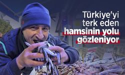 Türkiye'yi terk eden hamsinin yolu gözleniyor