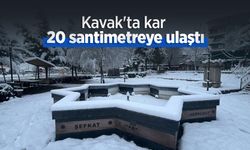 Kavak'ta kar 20 santimetreye ulaştı