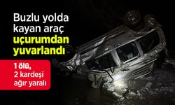 Buzlu yolda kayan araç uçurumdan yuvarlandı; 1 ölü, 2 kardeşi ağır yaralı