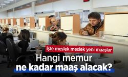 Hangi memur ne kadar maaş alacak? İşte meslek meslek yeni maaşlar