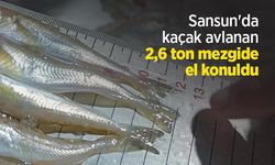 Sansun'da kaçak avlanan 2,6 ton mezgide el konuldu