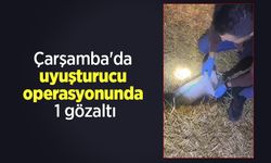 Çarşamba'da uyuşturucu operasyonunda 1 gözaltı
