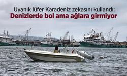 Uyanık lüfer Karadeniz zekasını kullandı: Denizlerde bol ama ağlara girmiyor