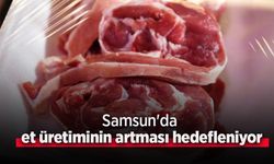 Samsun'da et üretiminin artması hedefleniyor