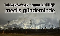 Tekkeköy’deki 'hava kirliliği' meclis gündeminde