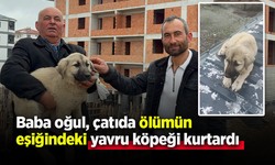 Baba oğul, çatıda ölümün eşiğindeki yavru köpeği kurtardı