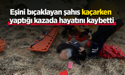 Eşini bıçaklayan şahıs kaçarken yaptığı kazada hayatını kaybetti