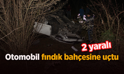 Otomobil fındık bahçesine uçtu: 2 yaralı