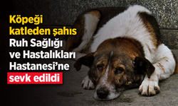 Köpeği katleden şahıs, Ruh Sağlığı ve Hastalıkları Hastanesi’ne sevk edildi