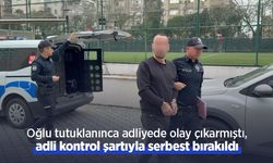 Oğlu tutuklanınca adliyede olay çıkarmıştı, adli kontrol şartıyla serbest bırakıldı