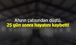 Ahırın çatısından düştü, 25 gün sonra hayatını kaybetti