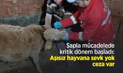 Şapla mücadelede kritik dönem başladı: Aşısız hayvana sevk yok, ceza var