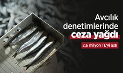 Avcılık denetimlerinde ceza yağdı: 2,6 milyon TL’yi aştı