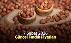 7 Şubat 2026 Güncel Fındık Fiyatları