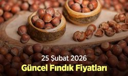 25 Şubat 2026 Güncel Fındık Fiyatları