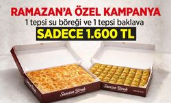 1 tepsi su böreği ve 1 tepsi baklava sadece 1.600 TL