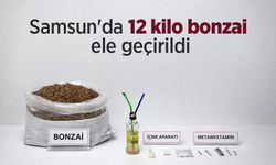 Samsun'da 12 kilo bonzai ele geçirildi