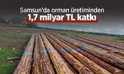 Samsun’da orman üretiminden 1,7 milyar TL katkı
