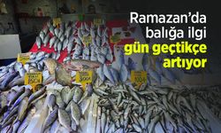 Ramazan’da balığa ilgi gün geçtikçe artıyor